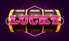222 meaning Live Casino ka kamra